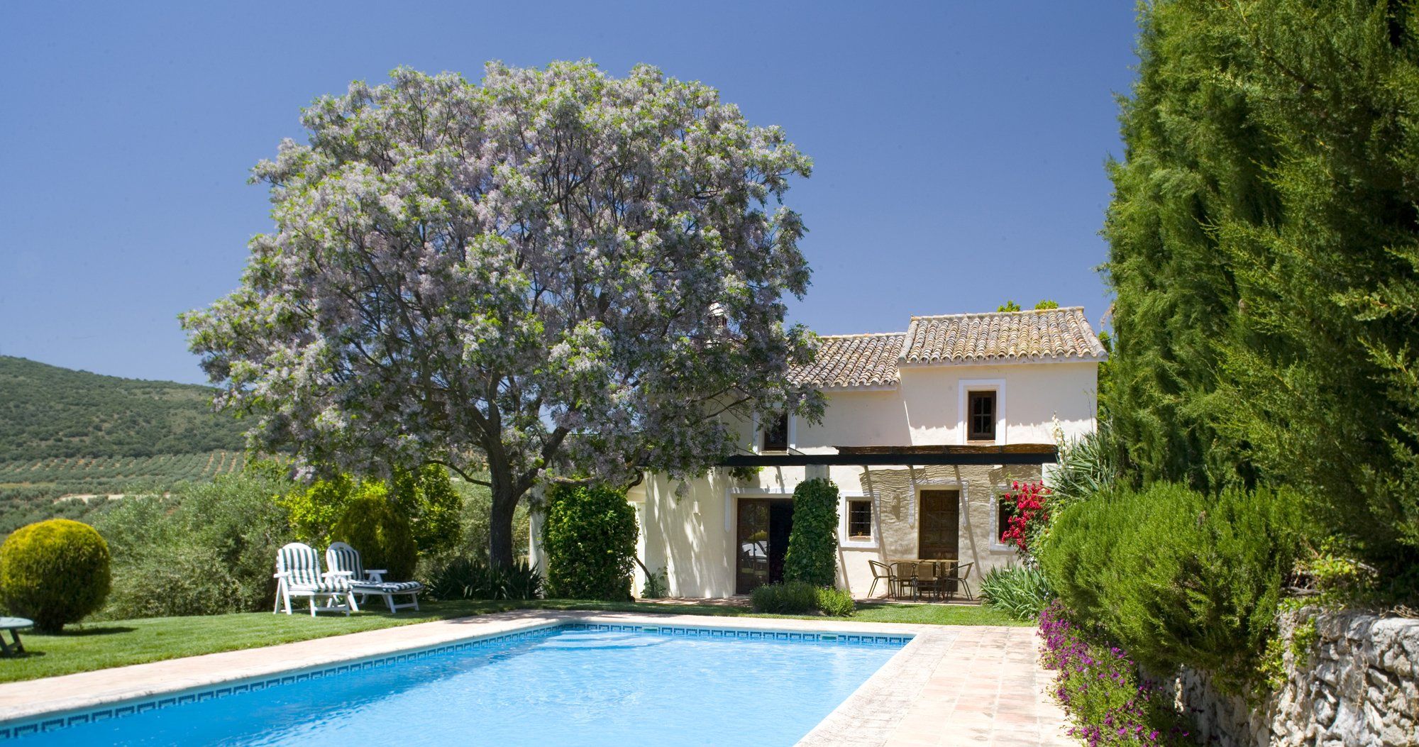 villa cottage ronda andalucia pool and facade