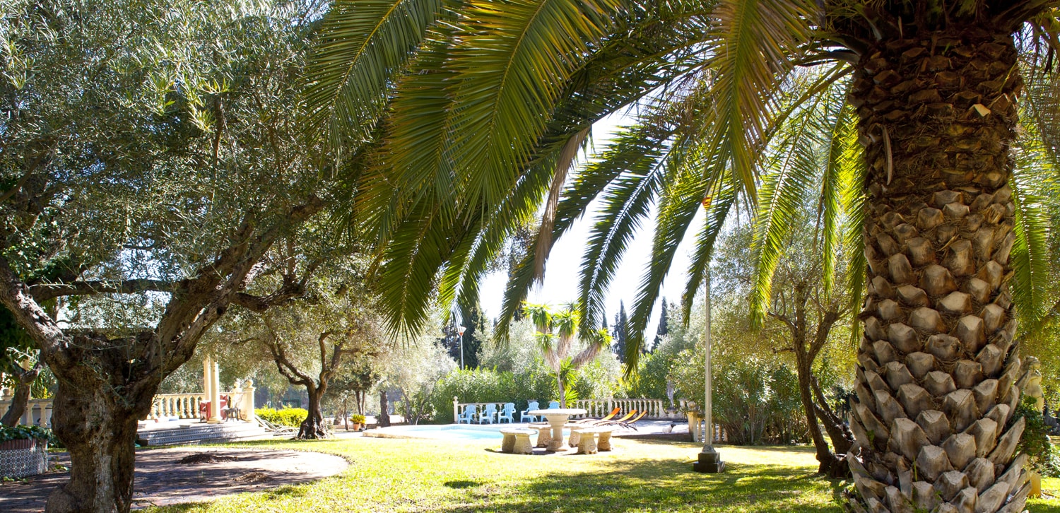 garden and palm trees andalucia