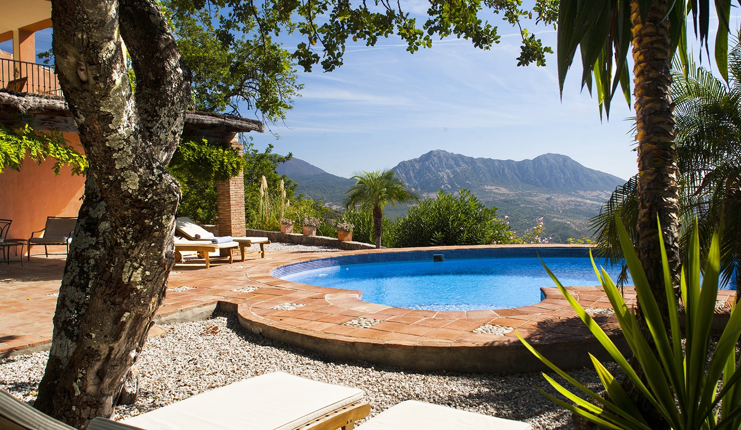 swimming pool and garden luxury villa spain