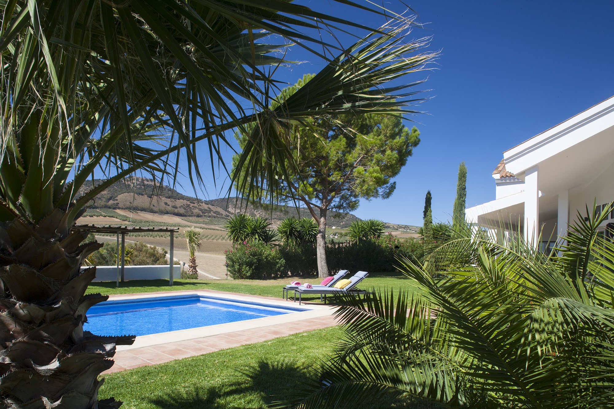 villas andalucia pool and garden