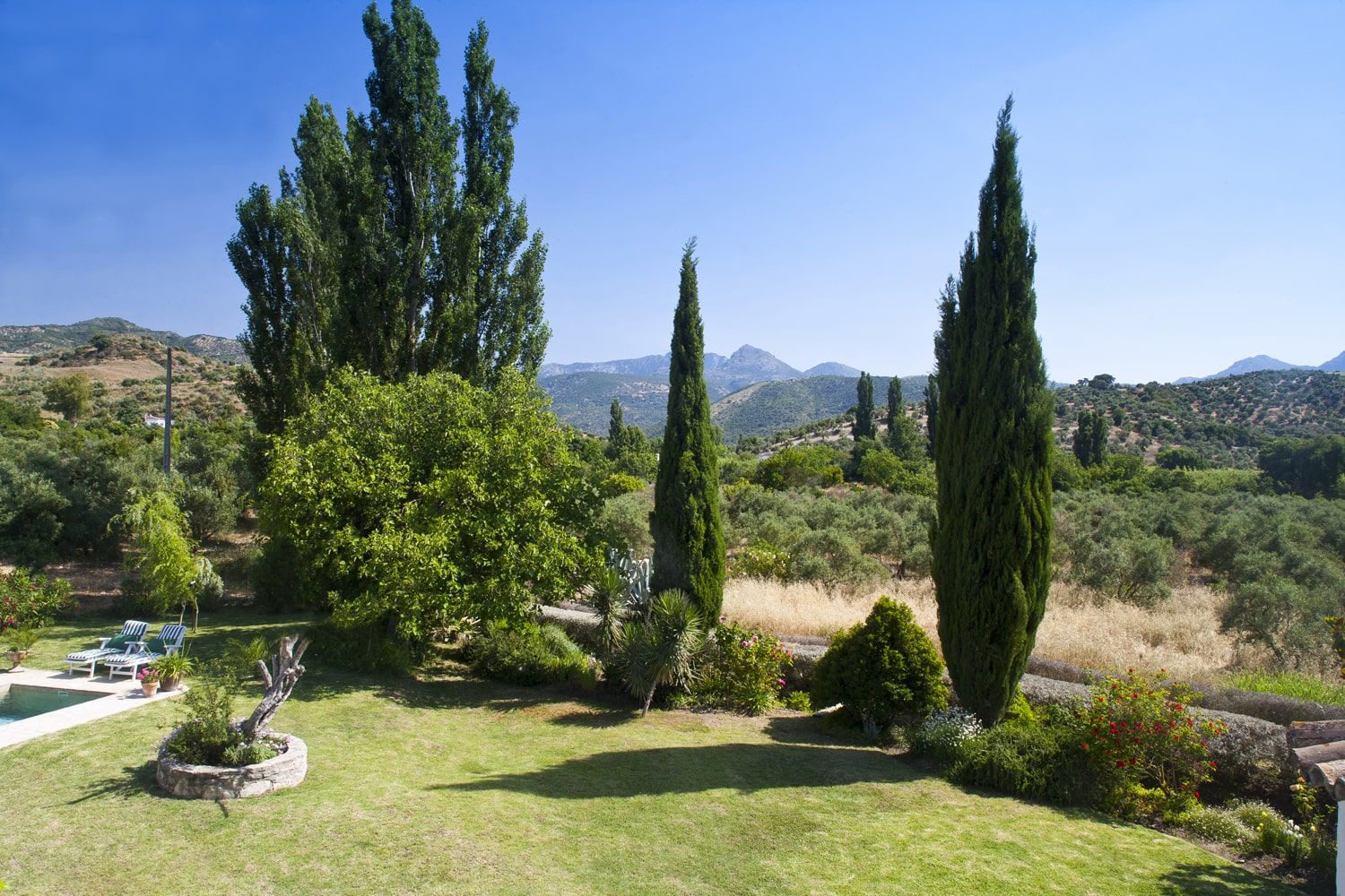 garden and view