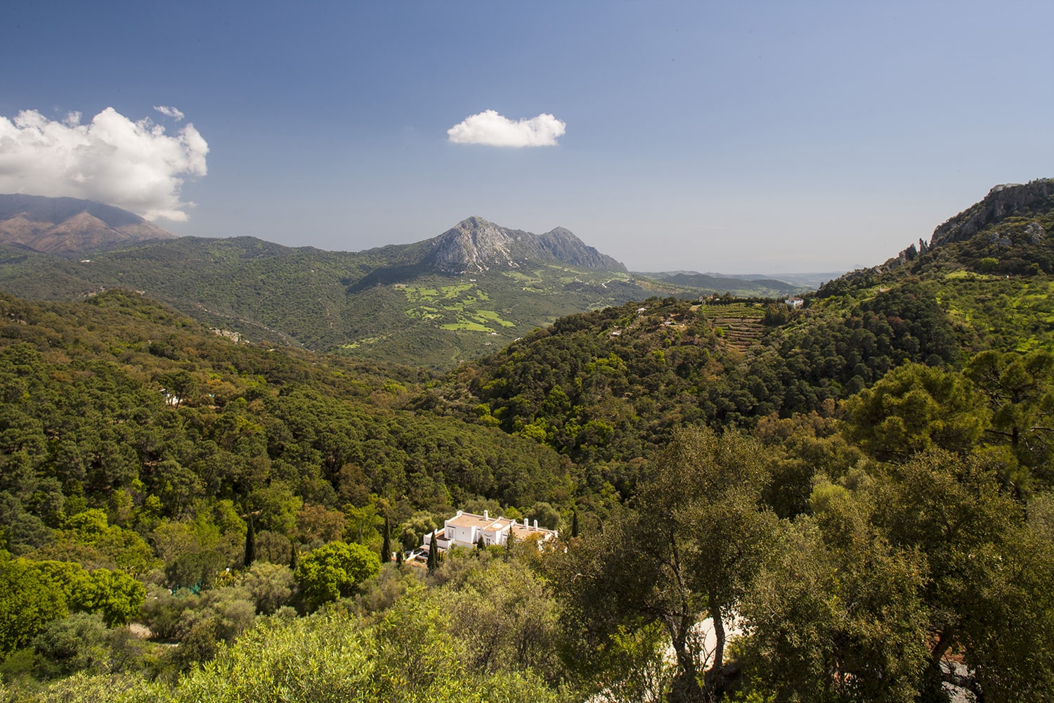 view from villa in andalucia