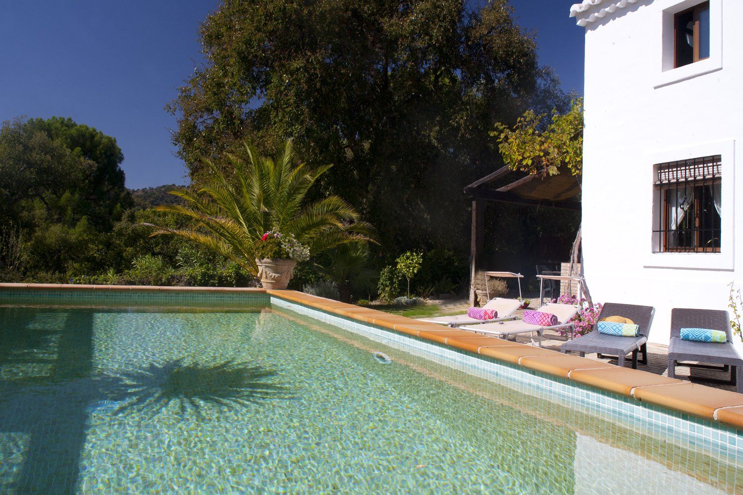 swimming pool at villa
