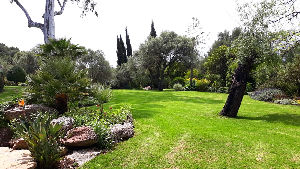 andalucian garden for villa holiday