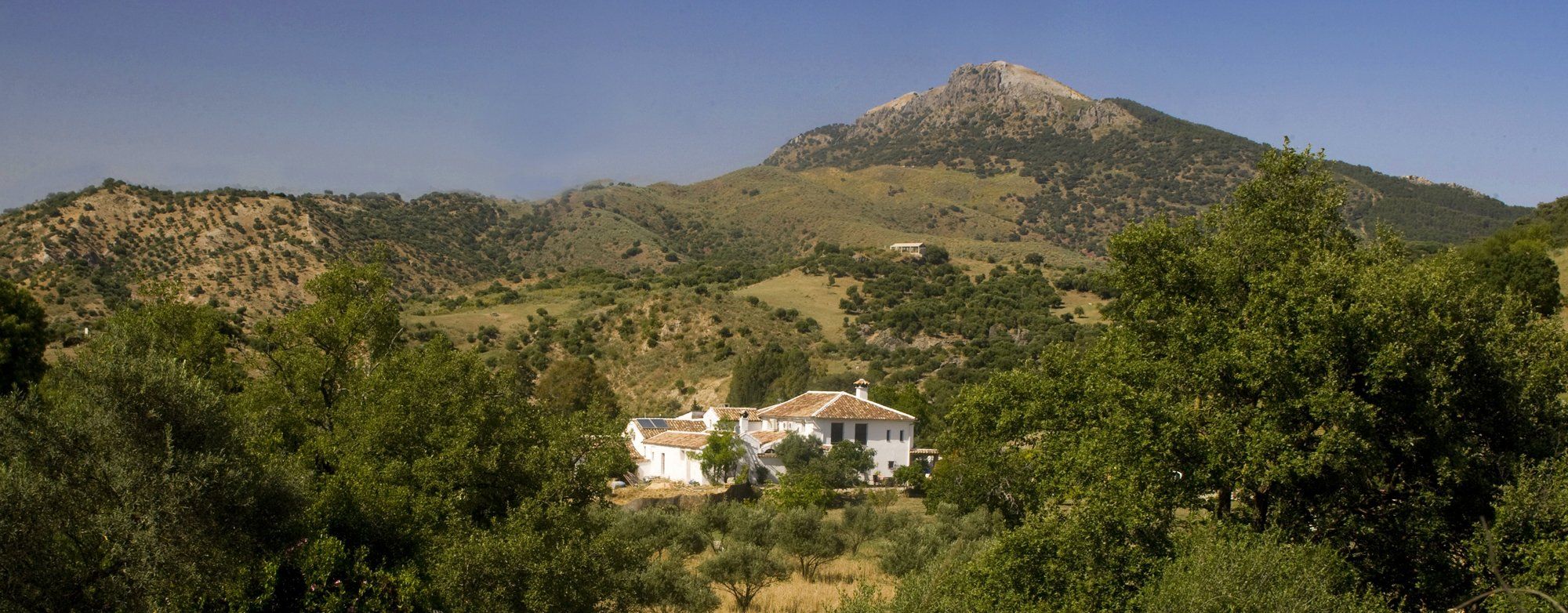 villas andalucia